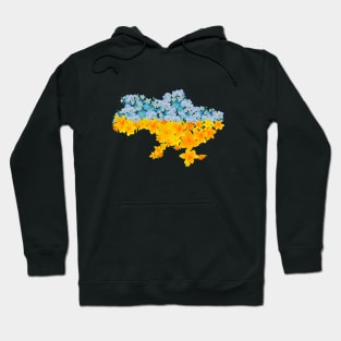 Ukraine Hoodie